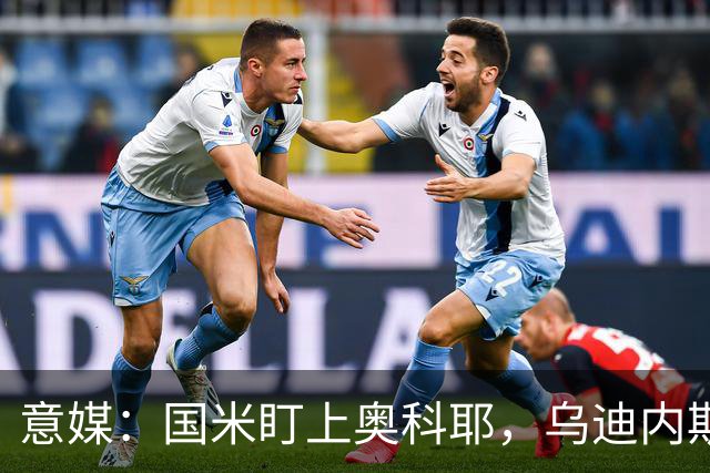 意媒：国米盯上奥科耶，乌迪内斯要价2000万欧